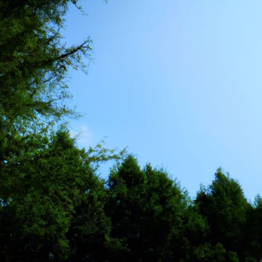 今天立秋是什么时间2020 今天立秋是什么时间2020