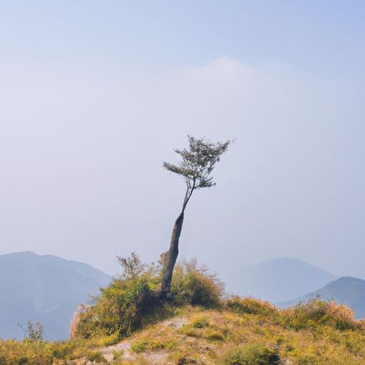 梦见秃顶 梦见秃顶