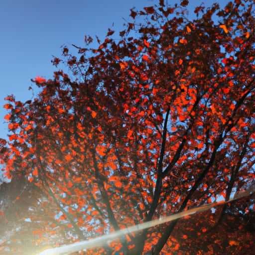 12月24号 12月24号