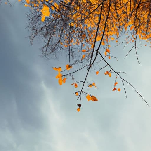 11月29号 11月29号