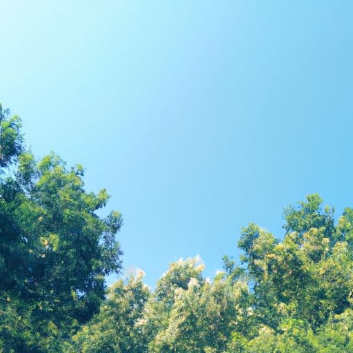 夏至是几月几日