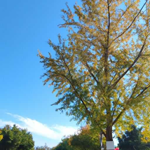 11月11日是什么日子 11月11日是什么日子