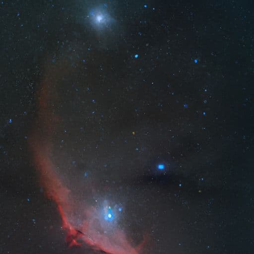 天枰座和什么星座配