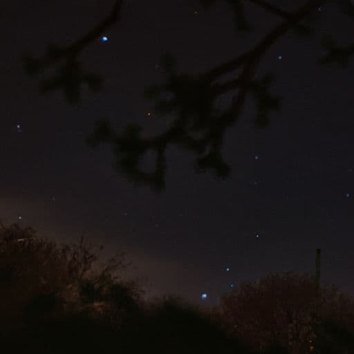 4月14日是什么星座