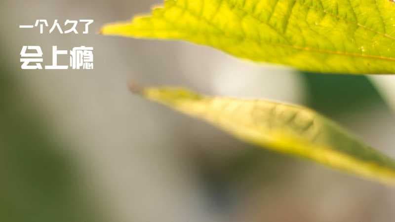 有意境的网名及有意境的网名男生:如何选择一个独特的、有意境的网名?