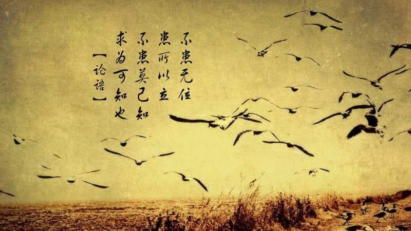  【生辰八字解读】如何通过八字预测人生运势及性格特点？