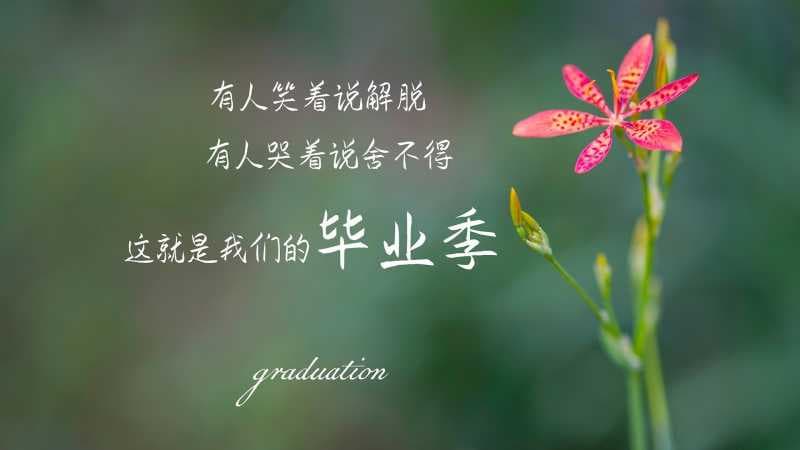 陈女孩取名字 姓陈的女孩名字