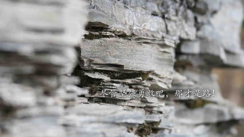 【解谜】一心一意打一生肖,你知道是什么动物吗?