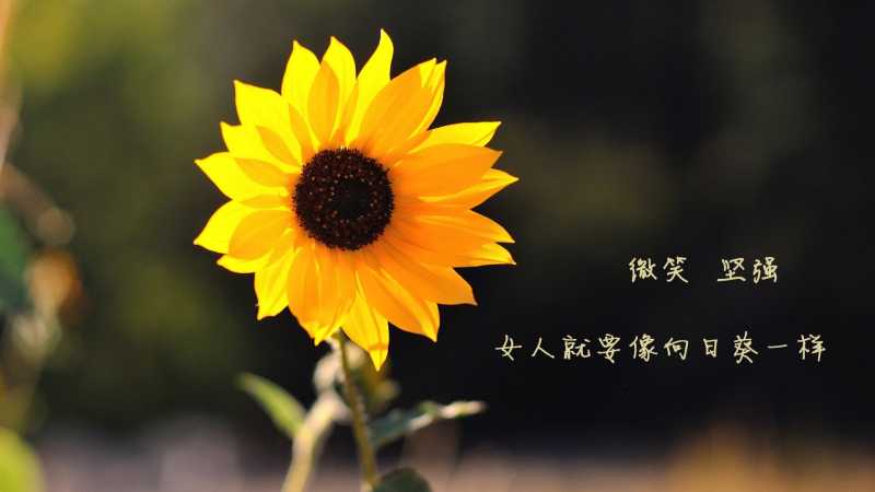 天秤座的最可怕一面: 决断力不足的犹豫不决