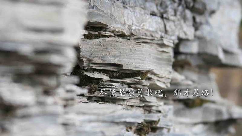  阴宅风水入门基础知识：解读居住环境的阴宅风水