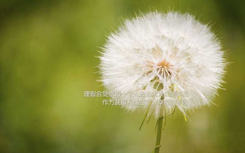 镜子摆放在哪能旺财旺运