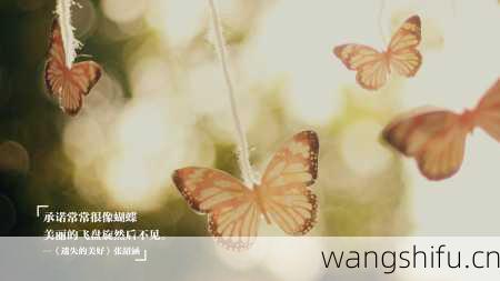 48星区详解:处女座一的性格分析