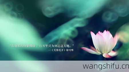 48星区详解:金牛双子座的性格分析