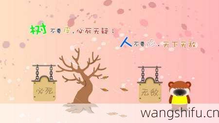 12星座理财导航攻略