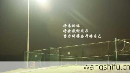 12月12日生日花语:欧石南,12月12日是什么星座?