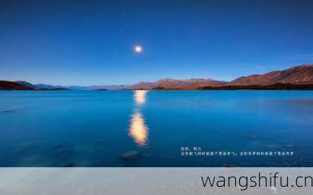 11月17日生日花语：苹果花，11月17日是什么星座？