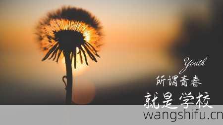 11月15日生日花语：冬紫罗兰，11月15日是什么星座？