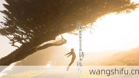 10月13日生日花语:秋菊,10月13日是什么星座?