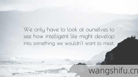 11月13日 (天蝎座) 生日密码