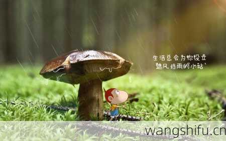 10月27日 (天蝎座) 生日密码