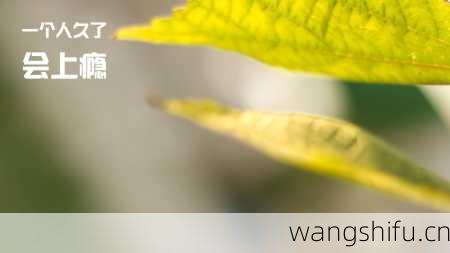 8月5日 (狮子座) 生日密码