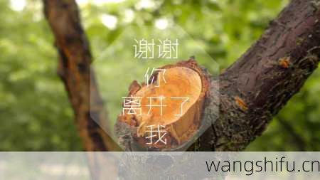 12星座的面试大忌讳