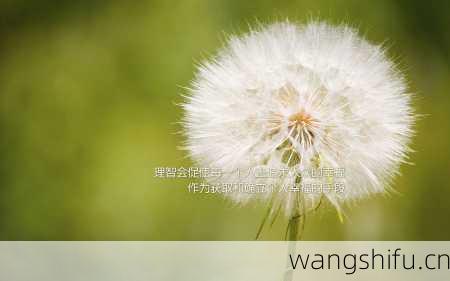 十二星座理财导航攻略