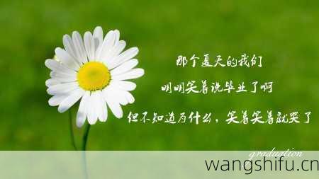 简评12星座与财运