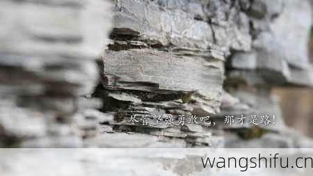 坦梳（Swiss Style Chocolate） - 11月13日巧克力占算